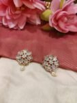 Dazzling Crystal AD Stone Floral Earring